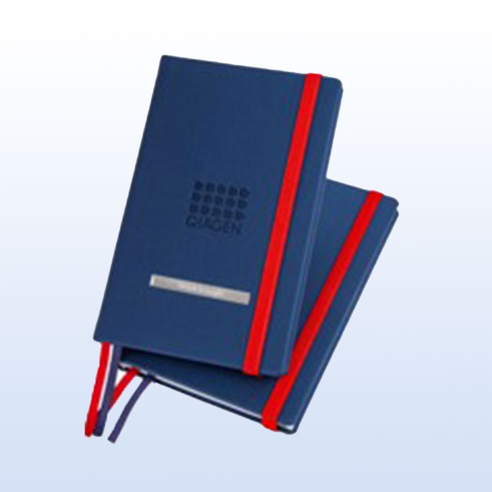 GIVE_RNA_focus_notepads_hidden